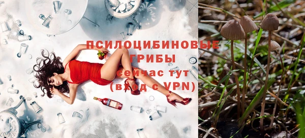 spice Алексеевка