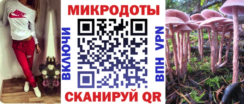 как найти   Новороссийск  Галлюциногенные грибы Cubensis 